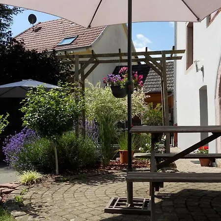 A Les Lanternes Espace Exterieur Et Parking 10 Min De Colmar Apartment Zimmerbach